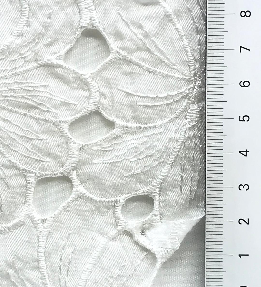 color image