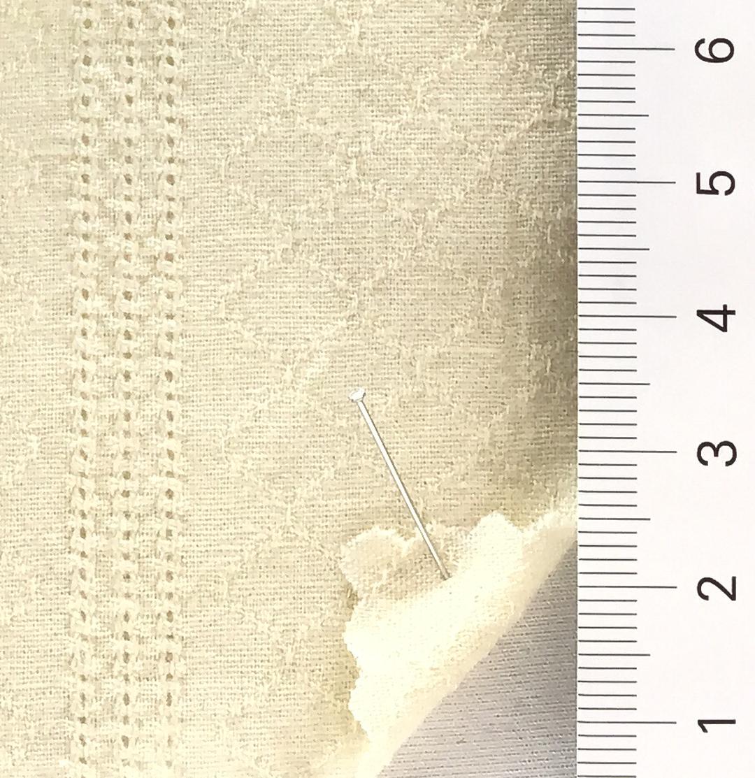 color image