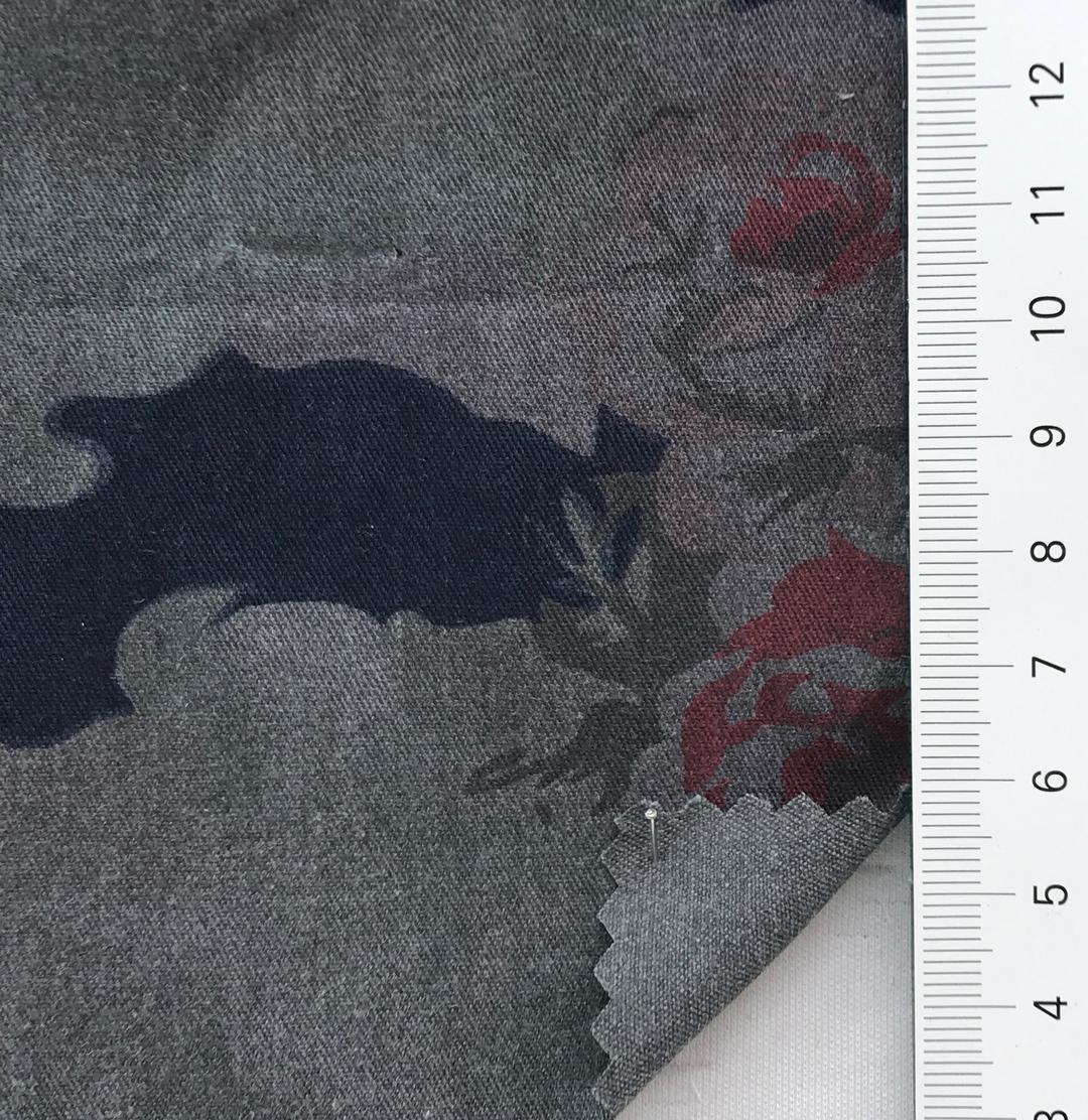color image