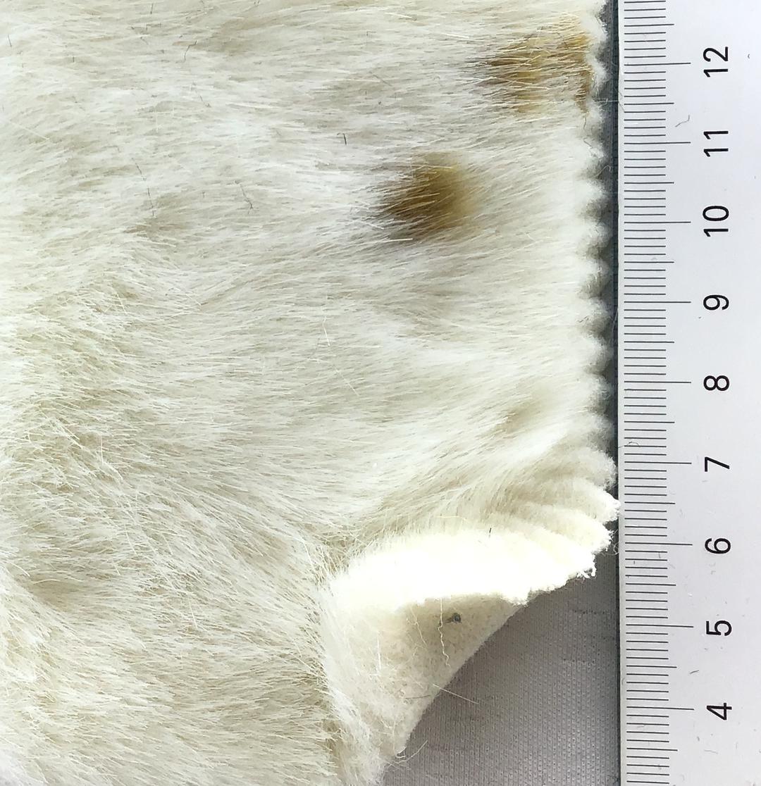 color image