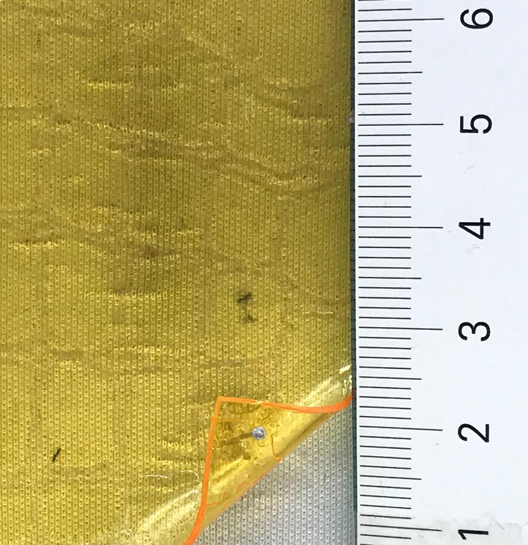 color image