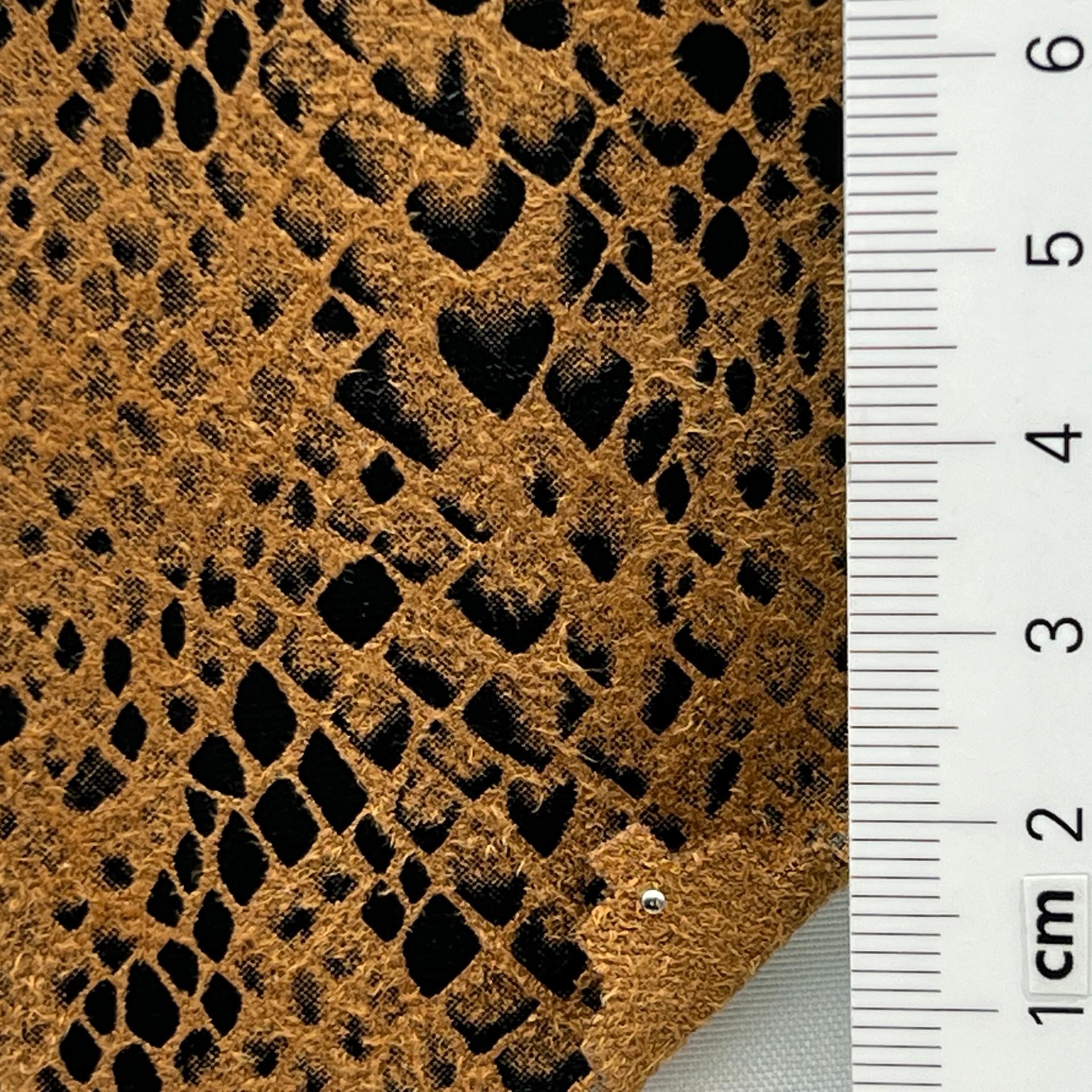 color image