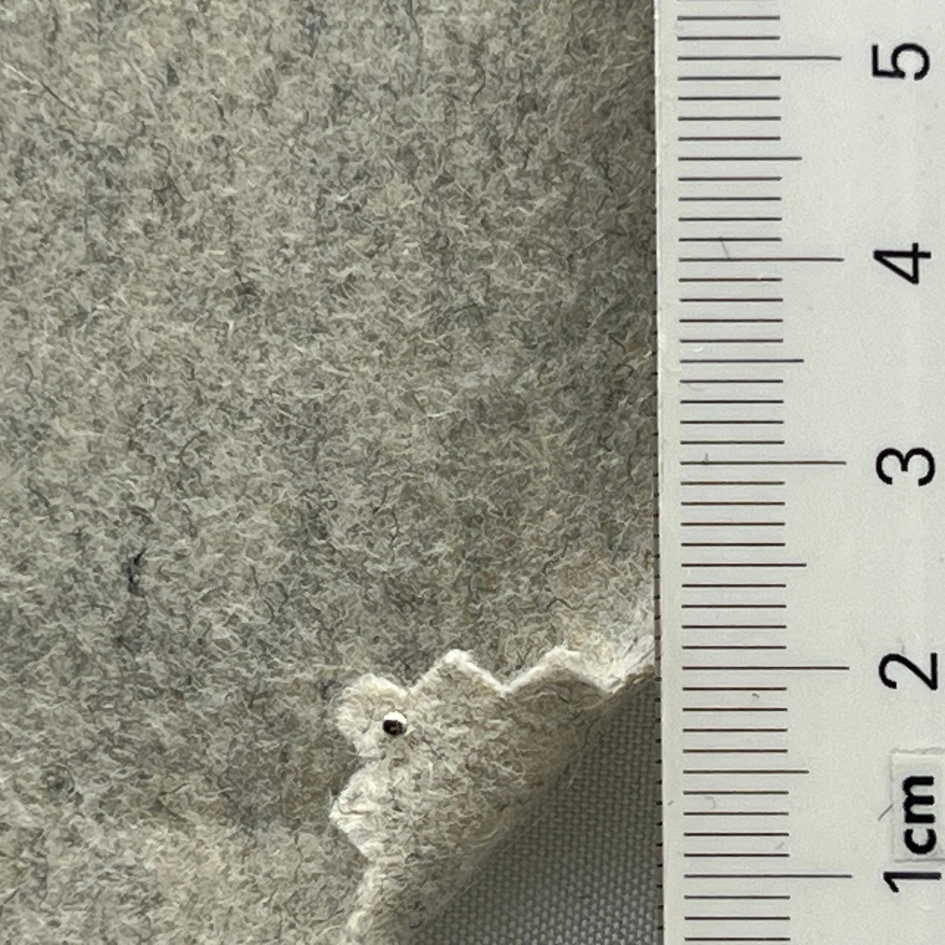 color image