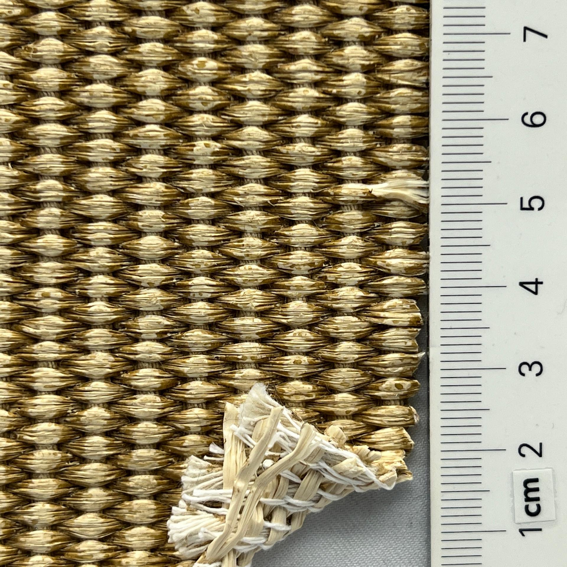 color image