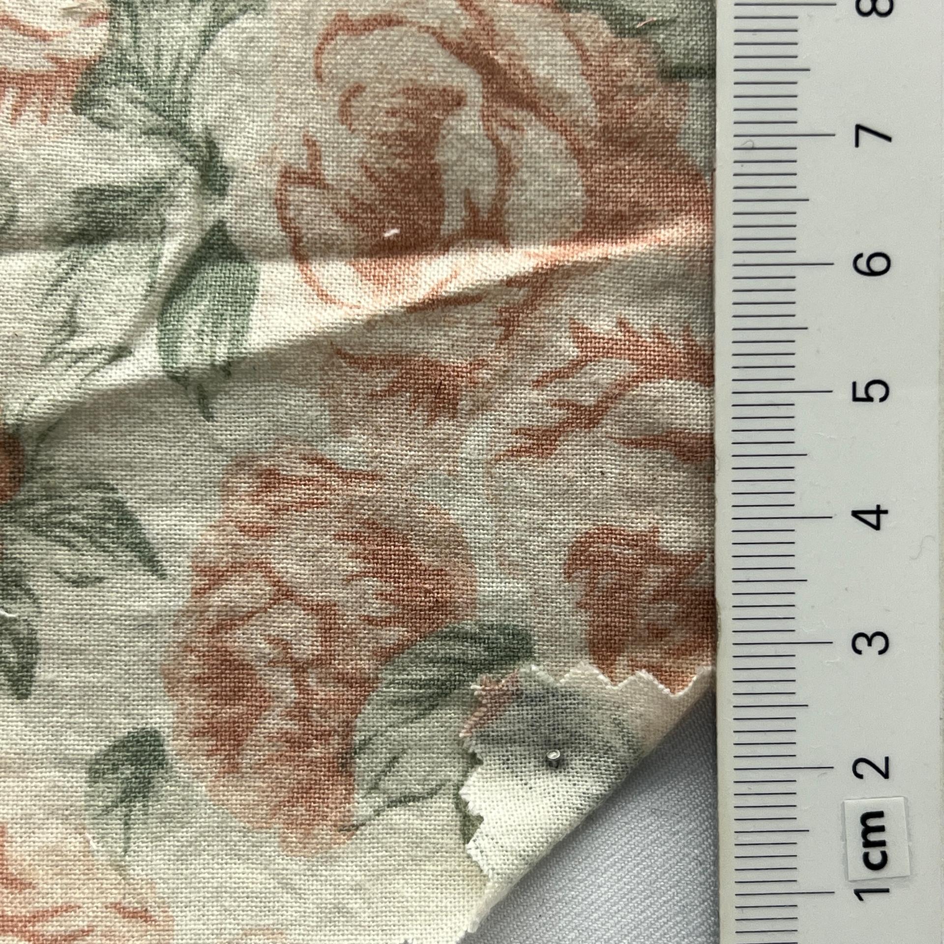 color image