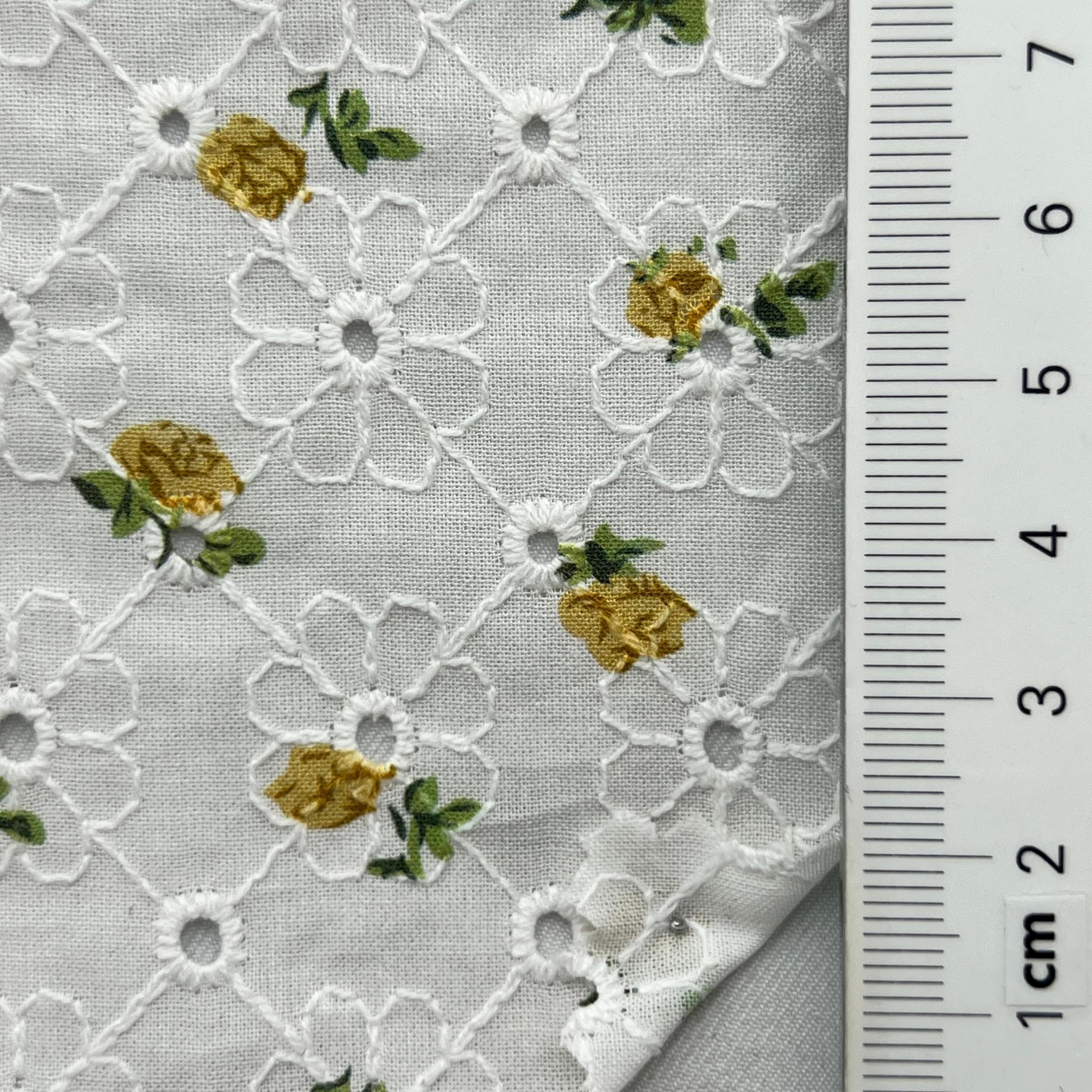 color image