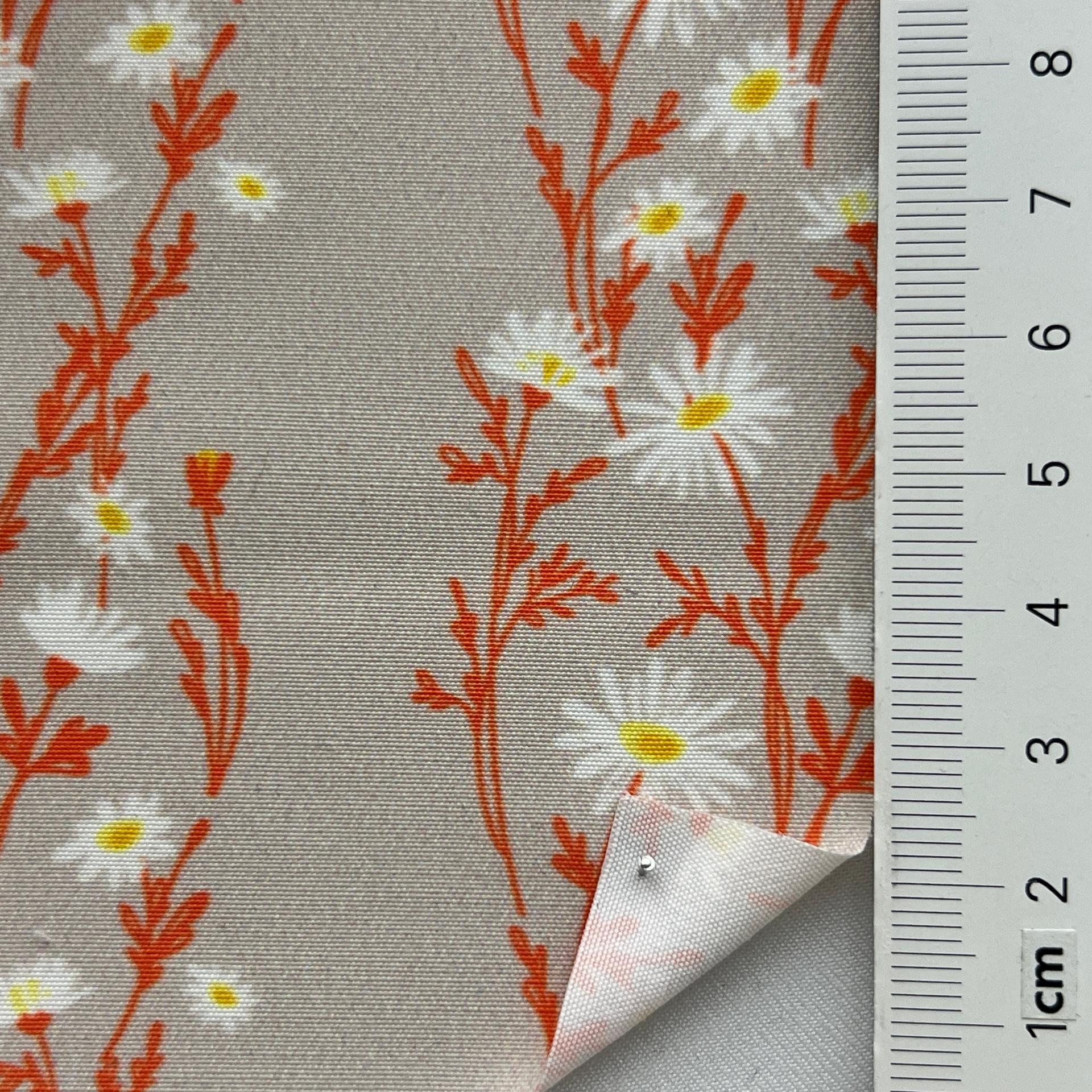 color image