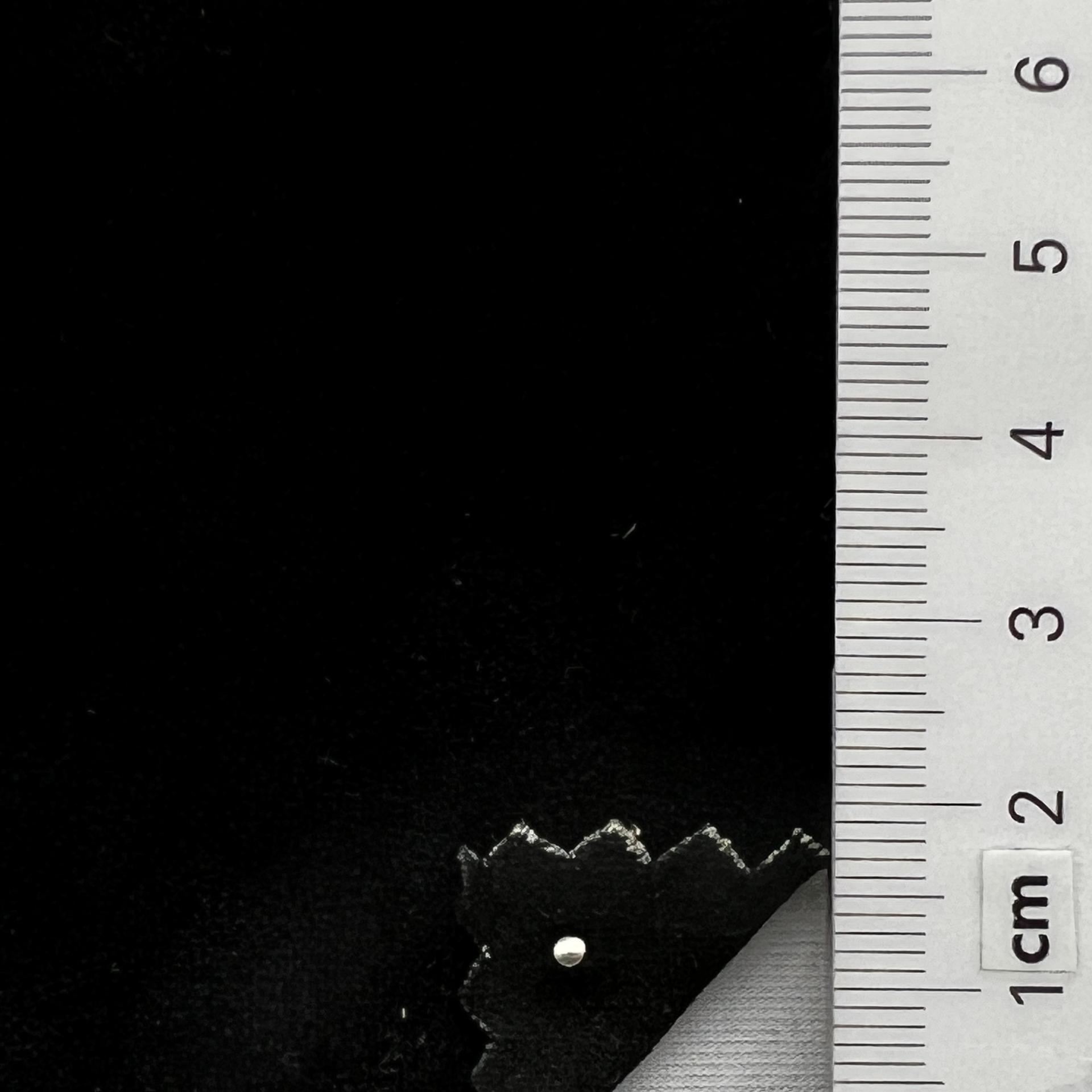 color image