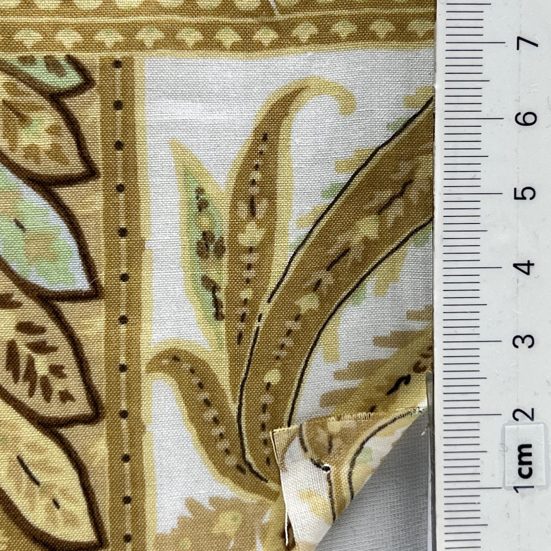 color image