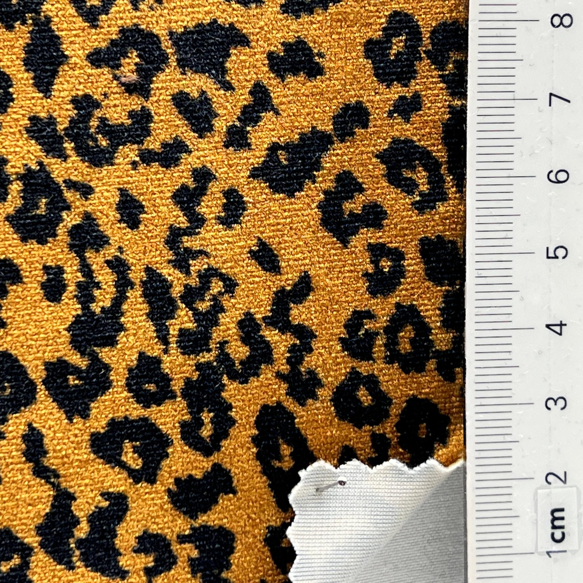 color image