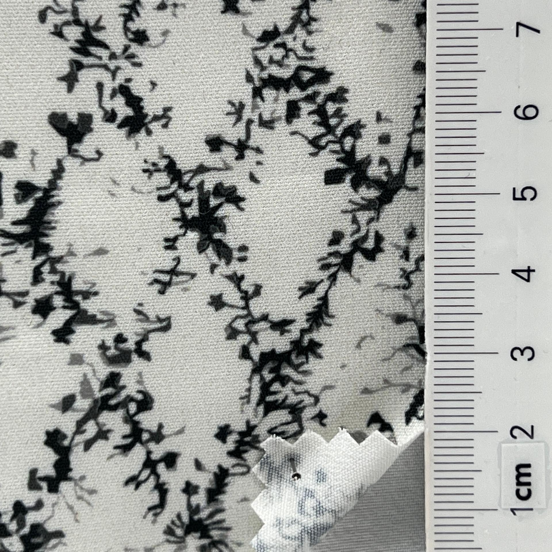 color image