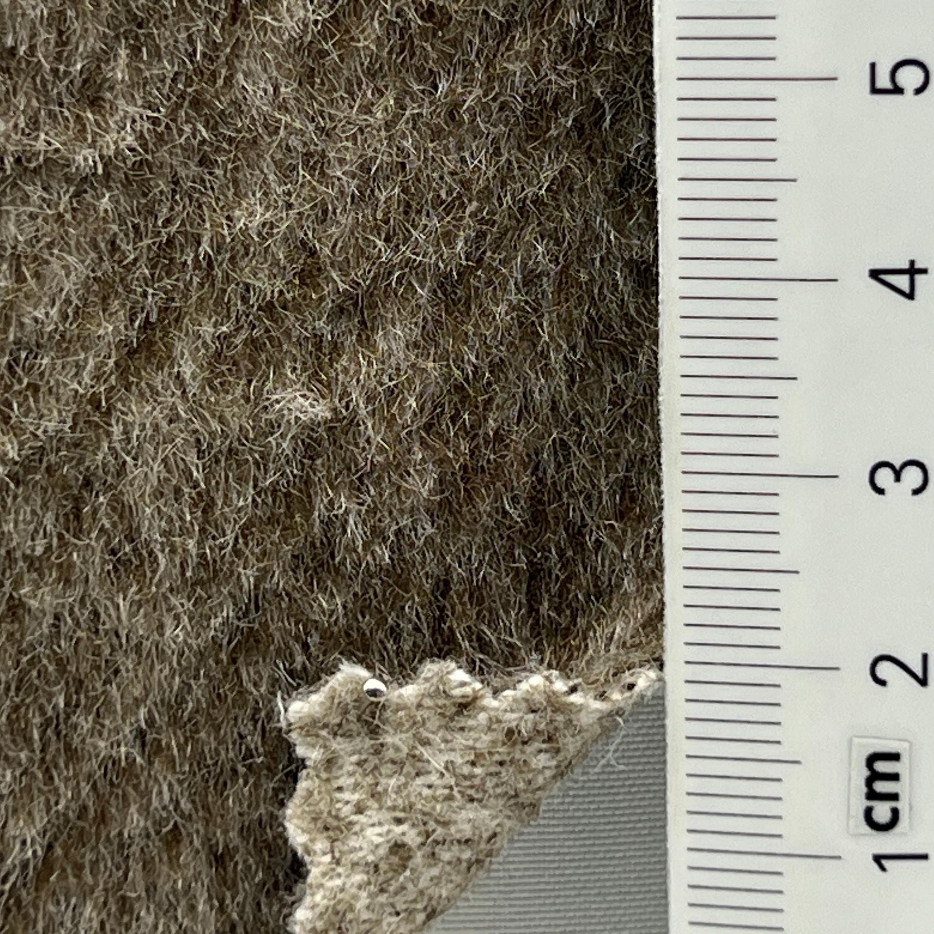 color image