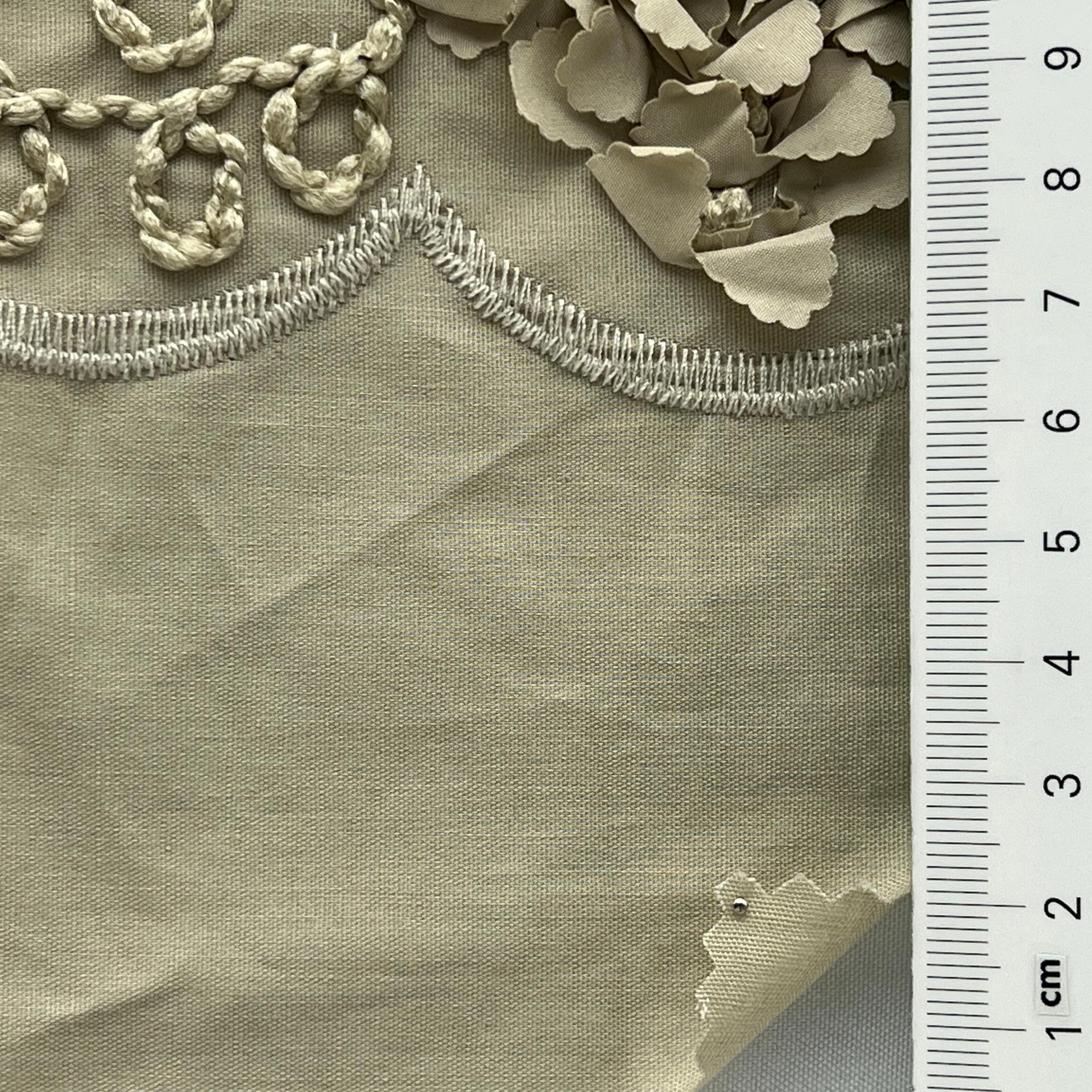 color image