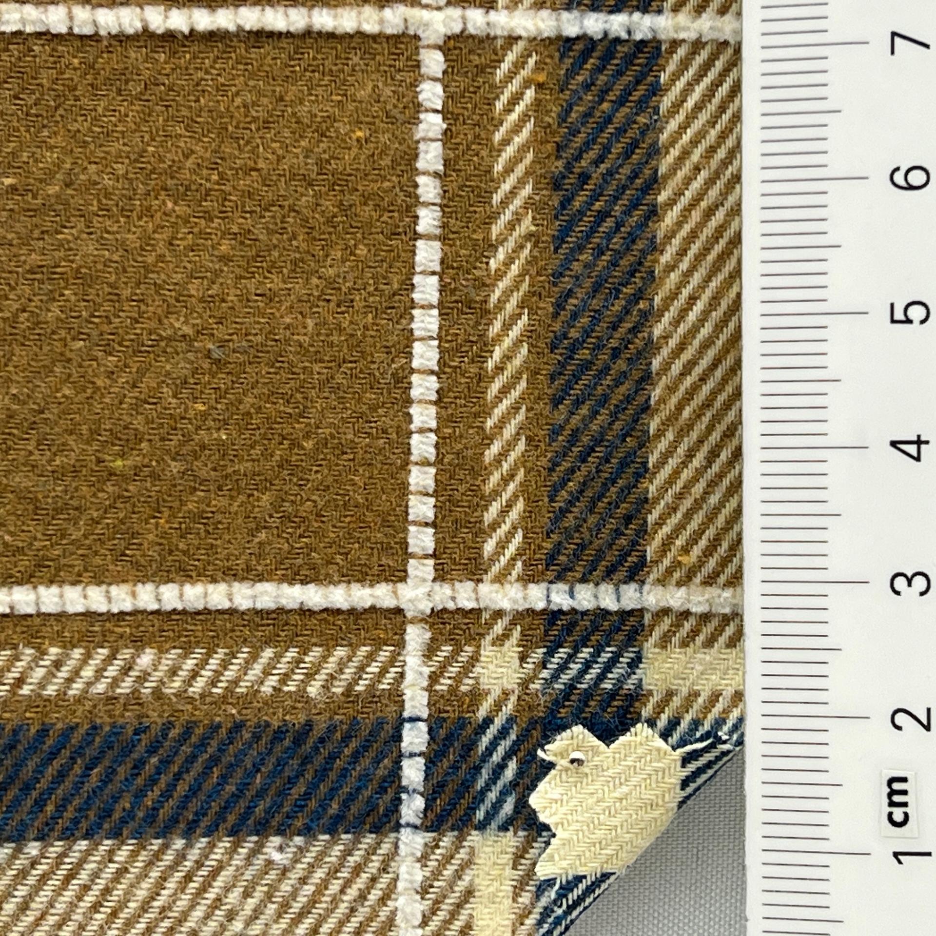 color image