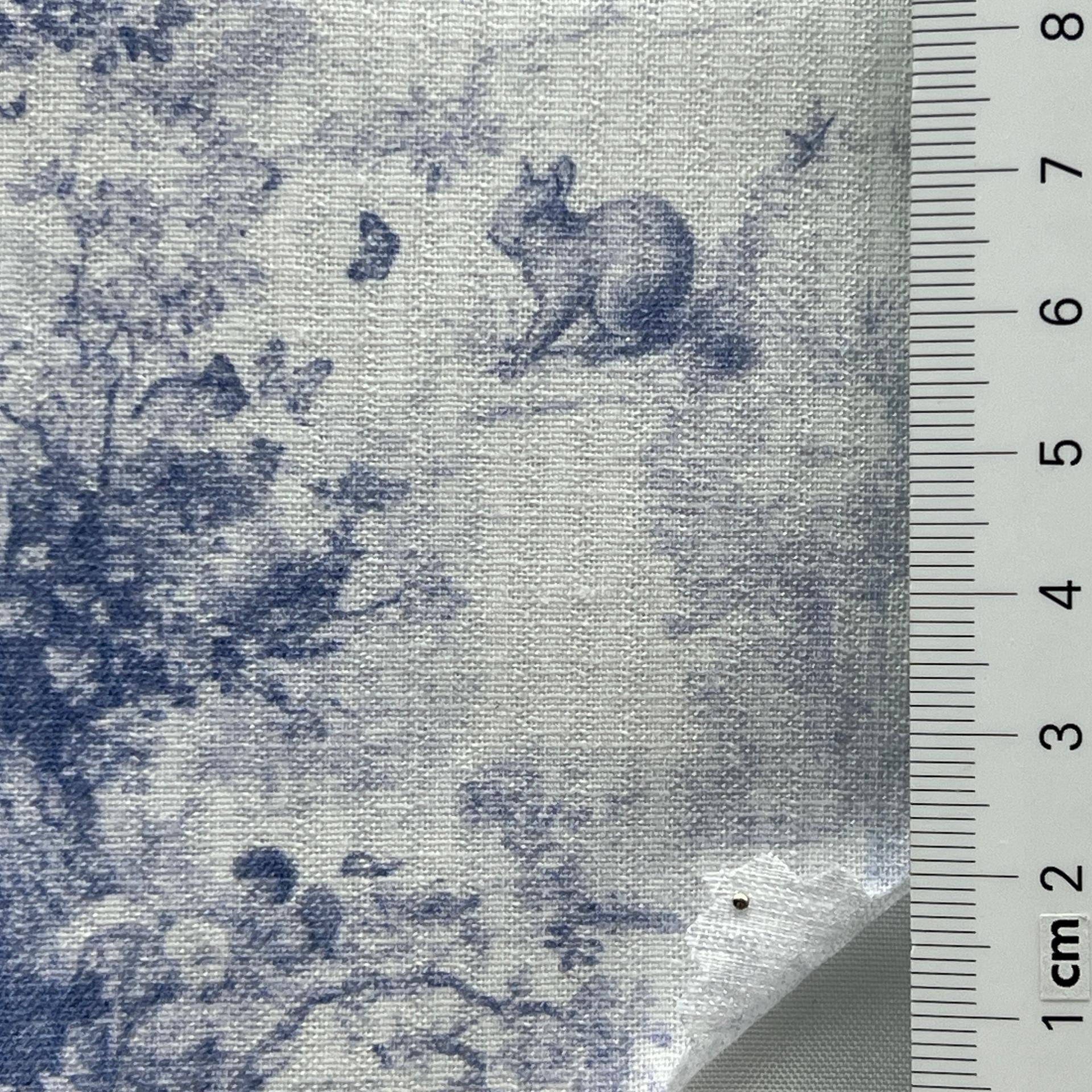 color image