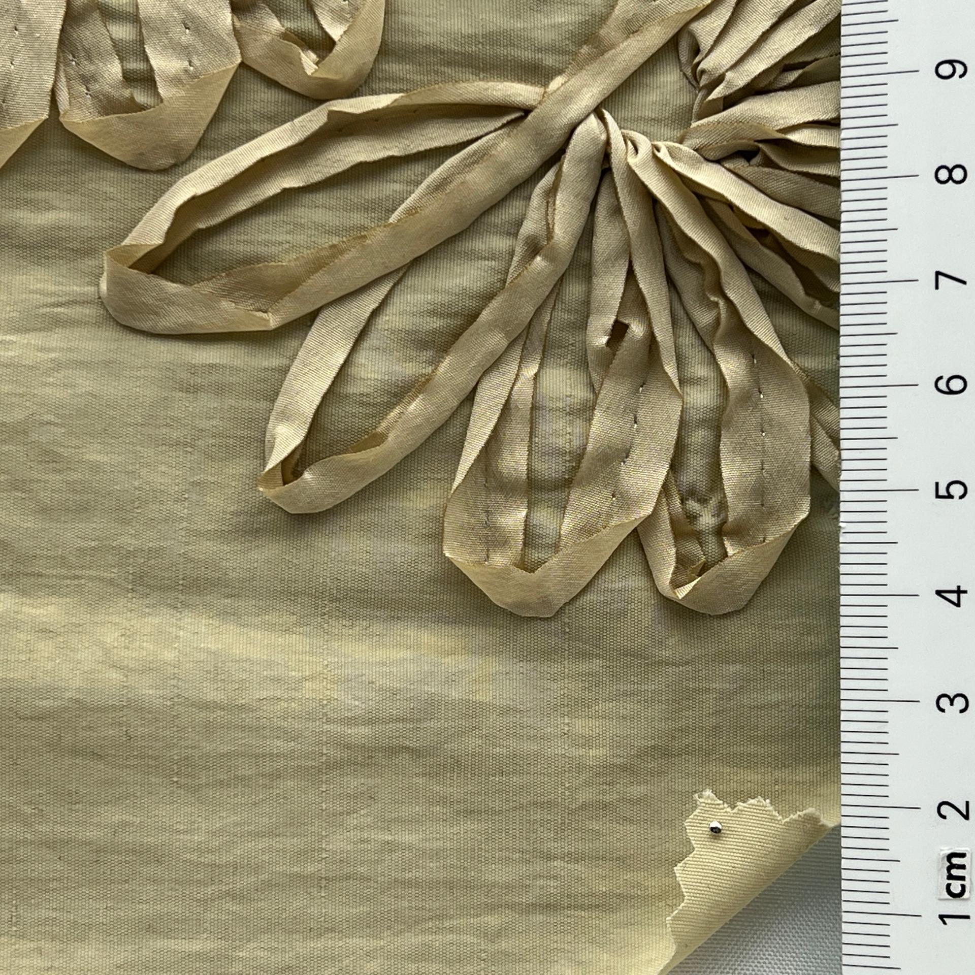 color image