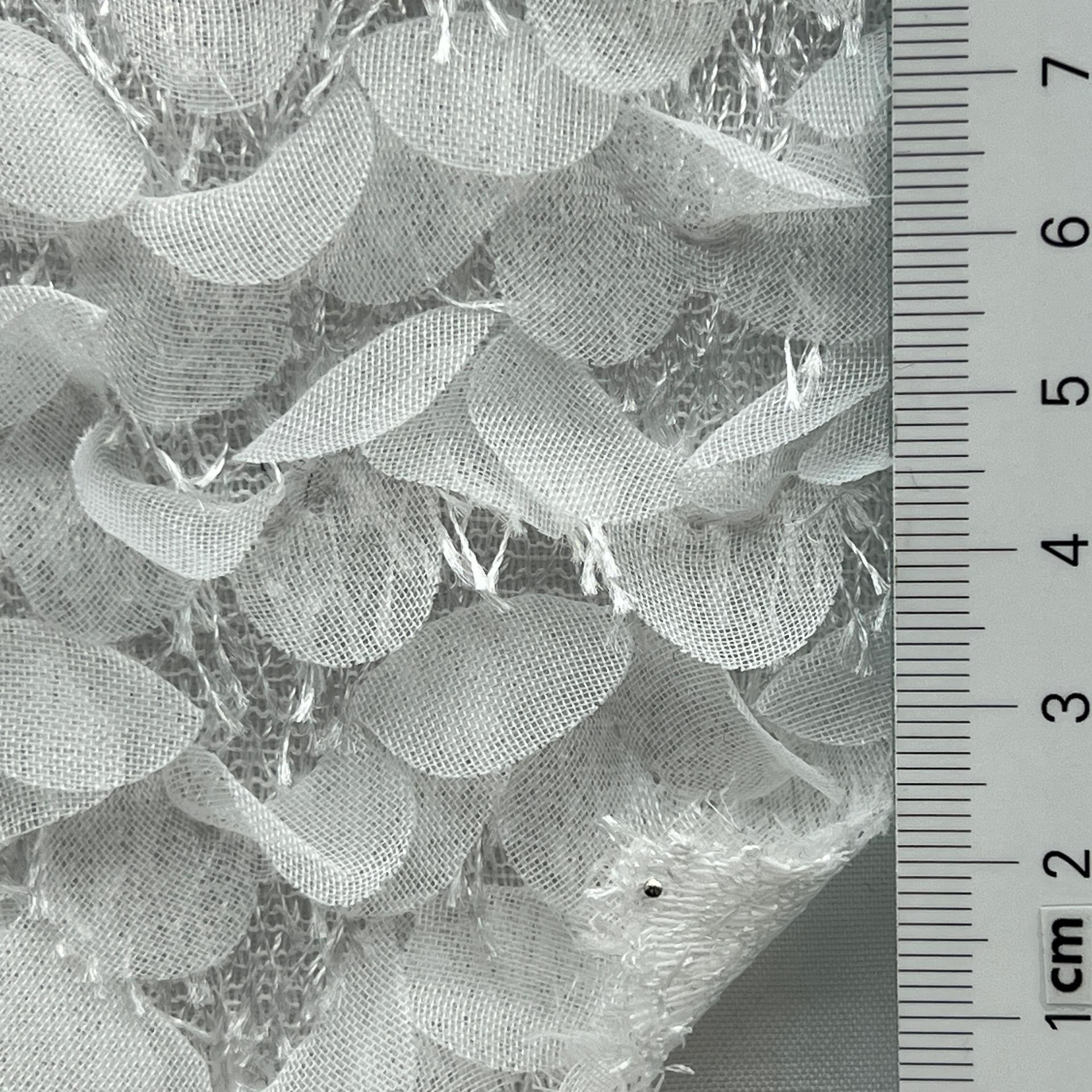color image