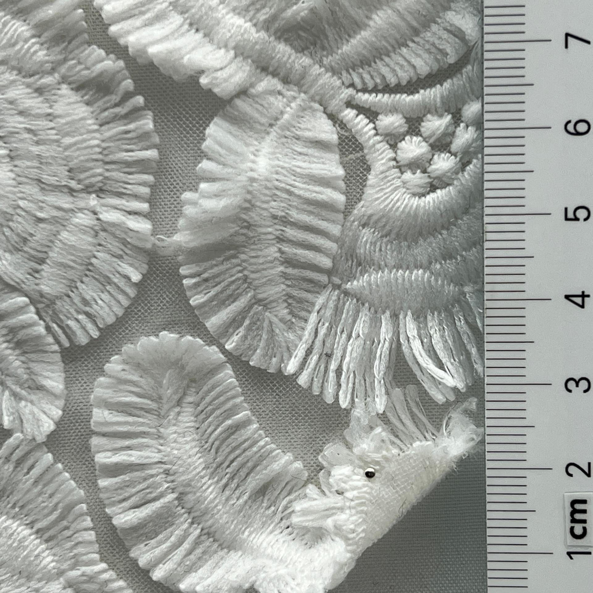 color image
