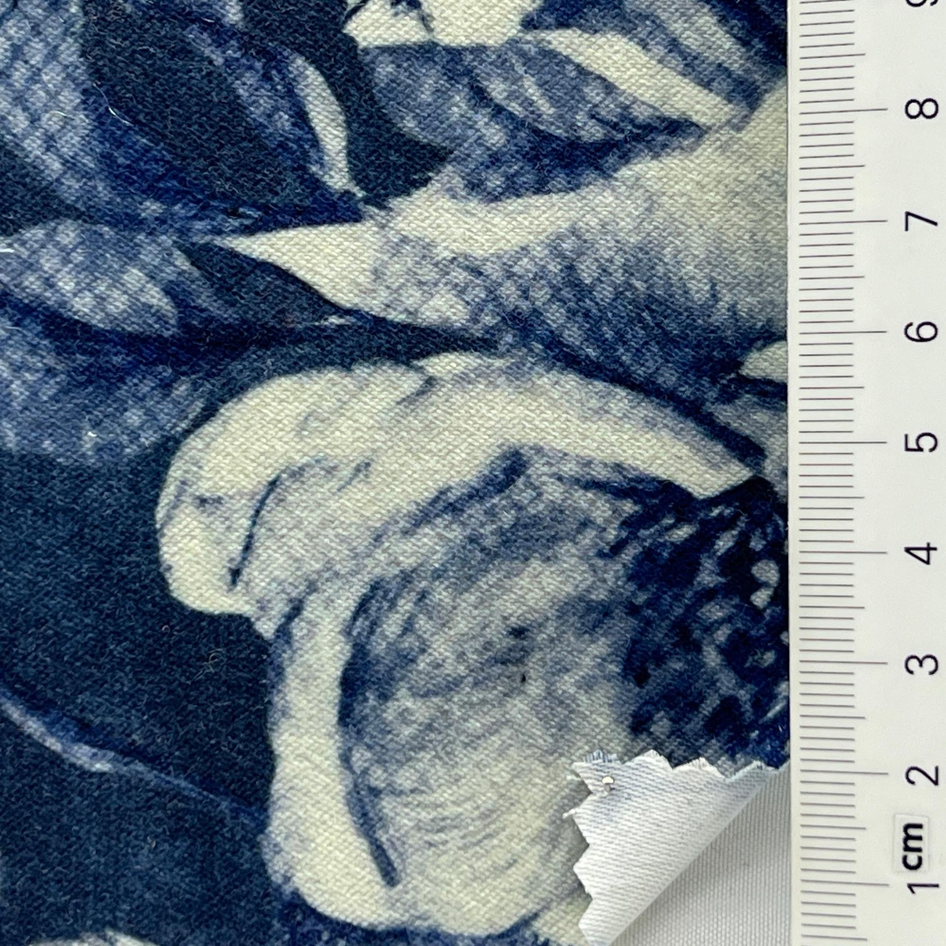 color image