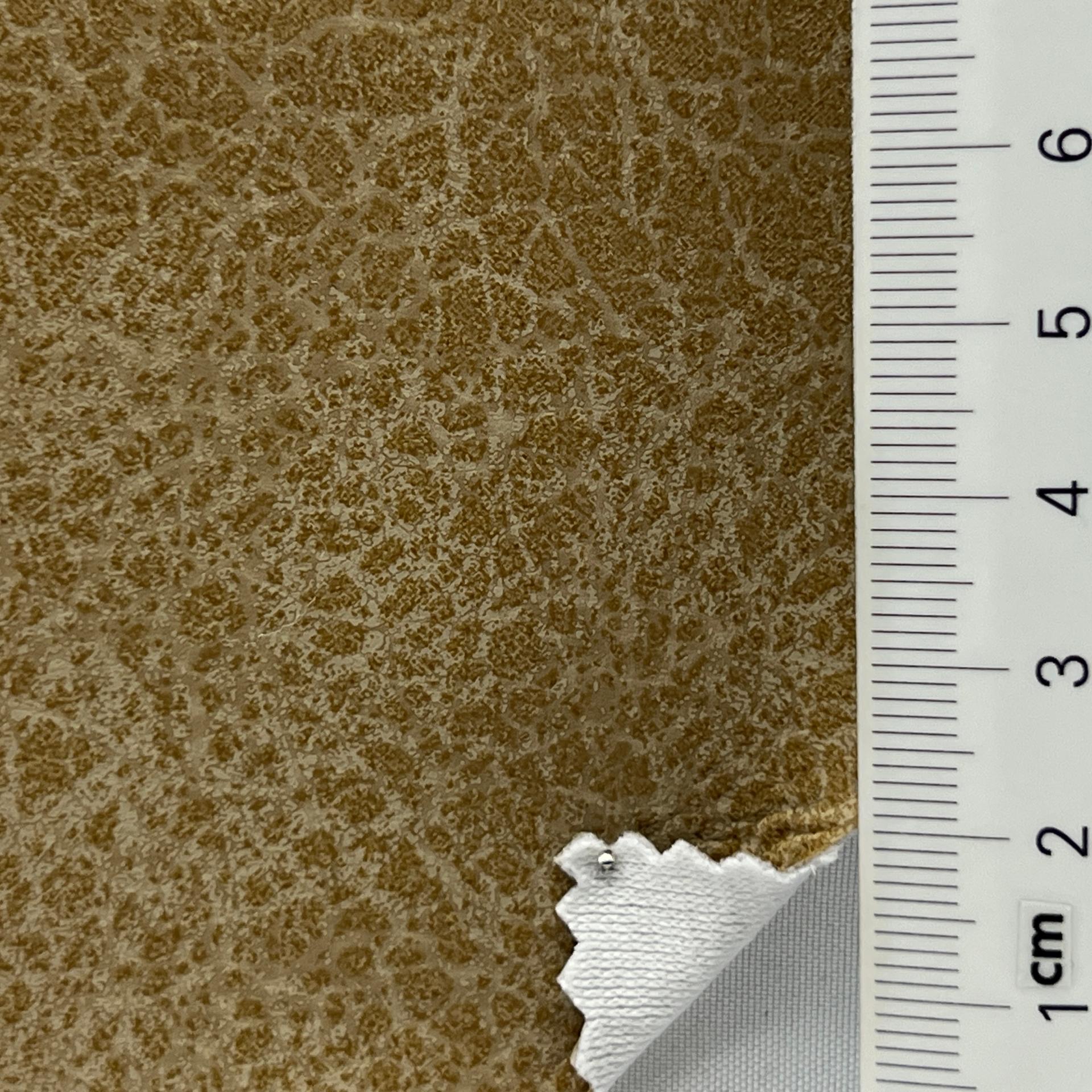 color image