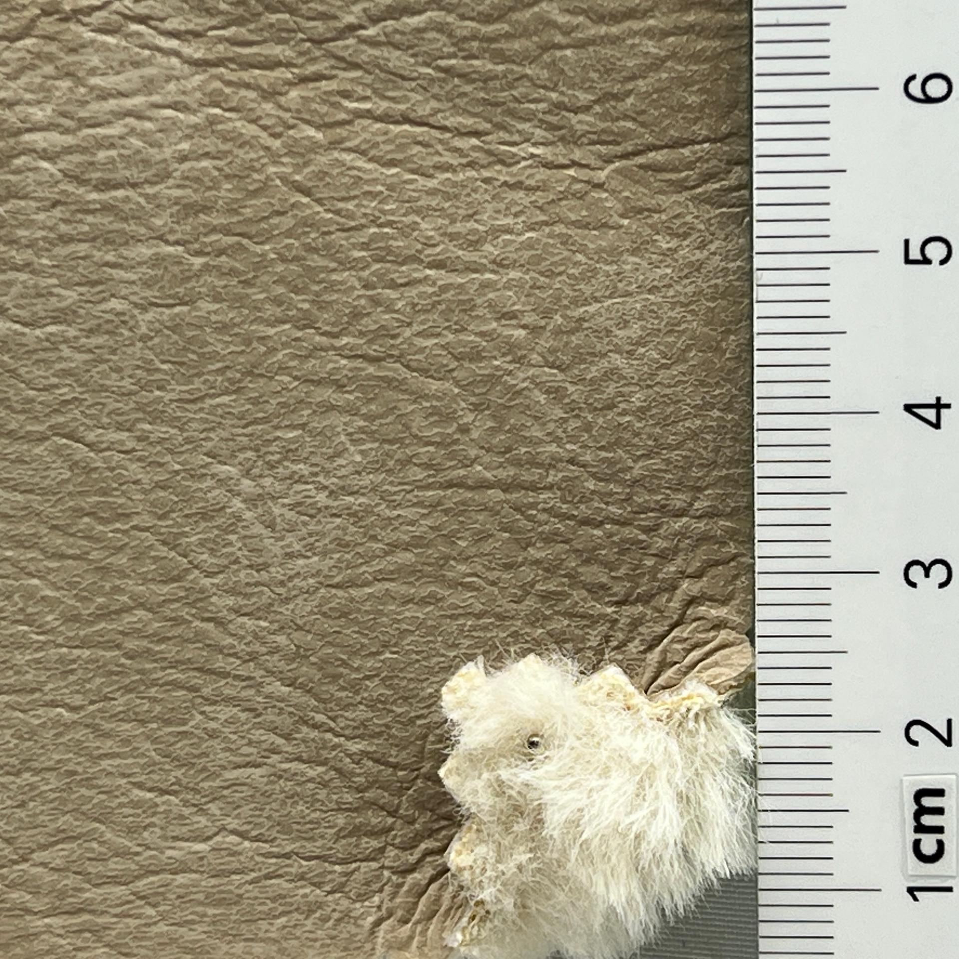 color image