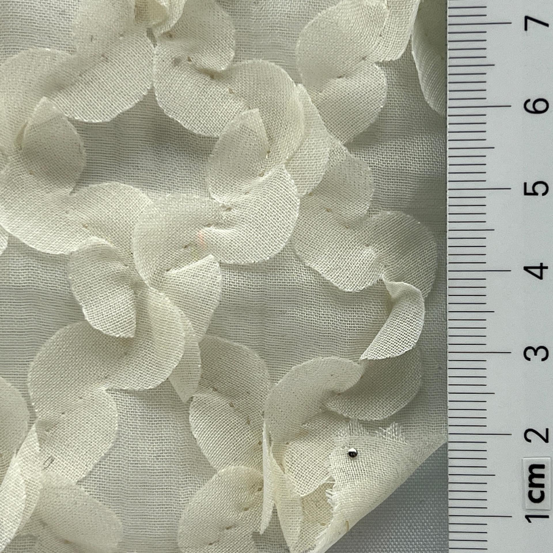 color image