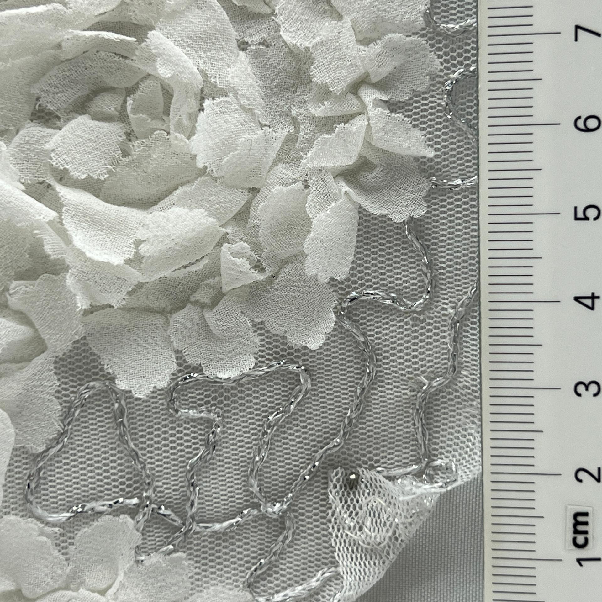 color image
