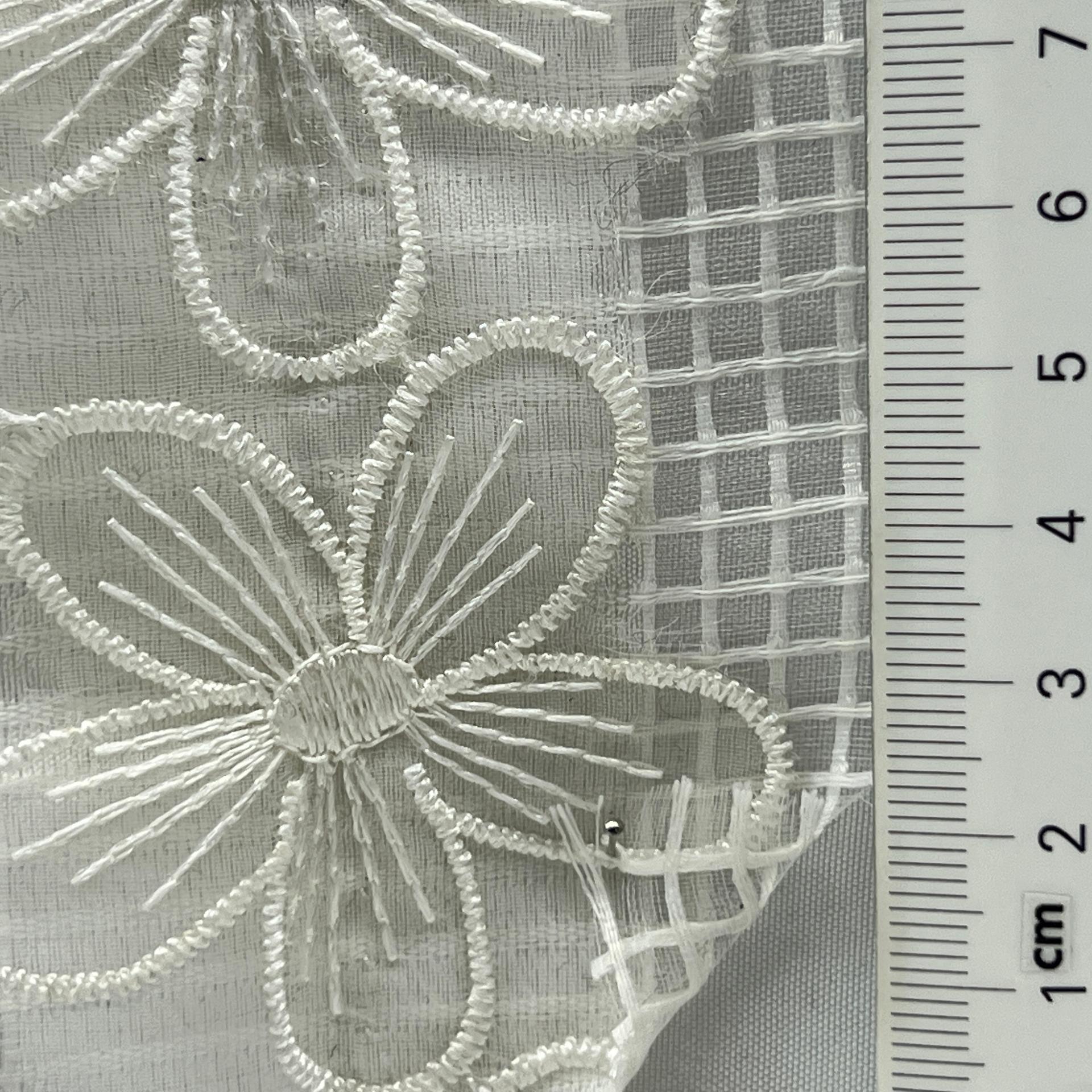 color image