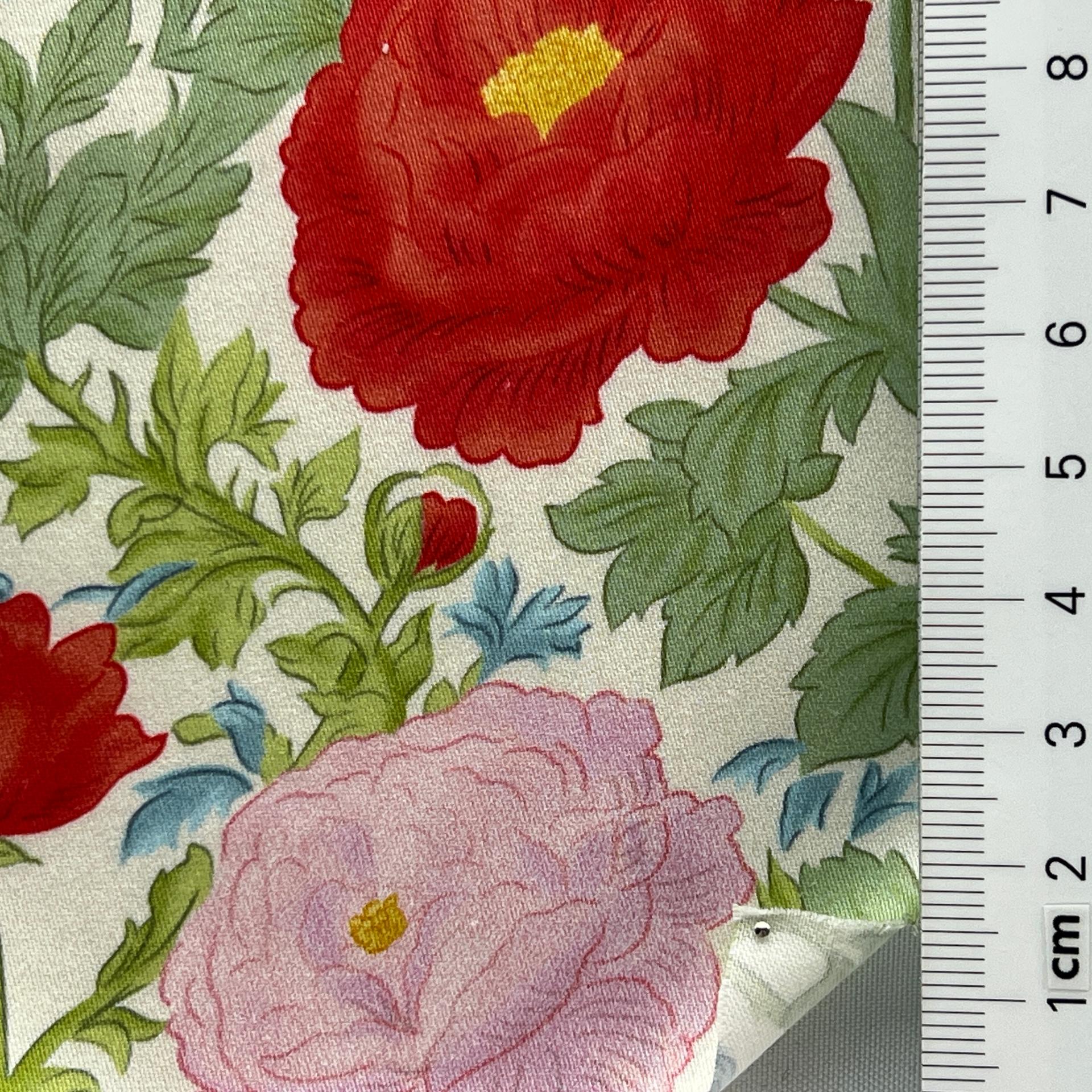 color image