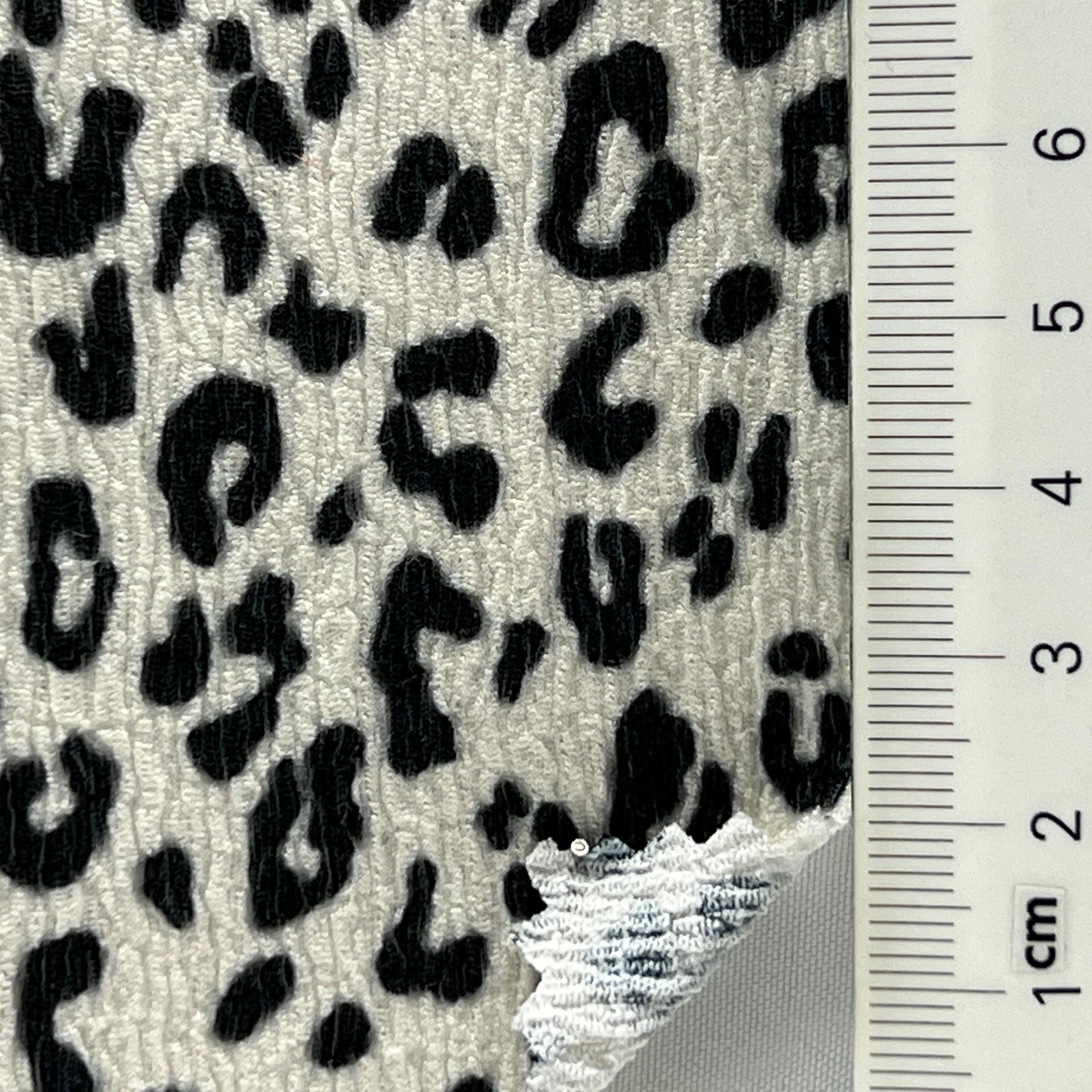 color image