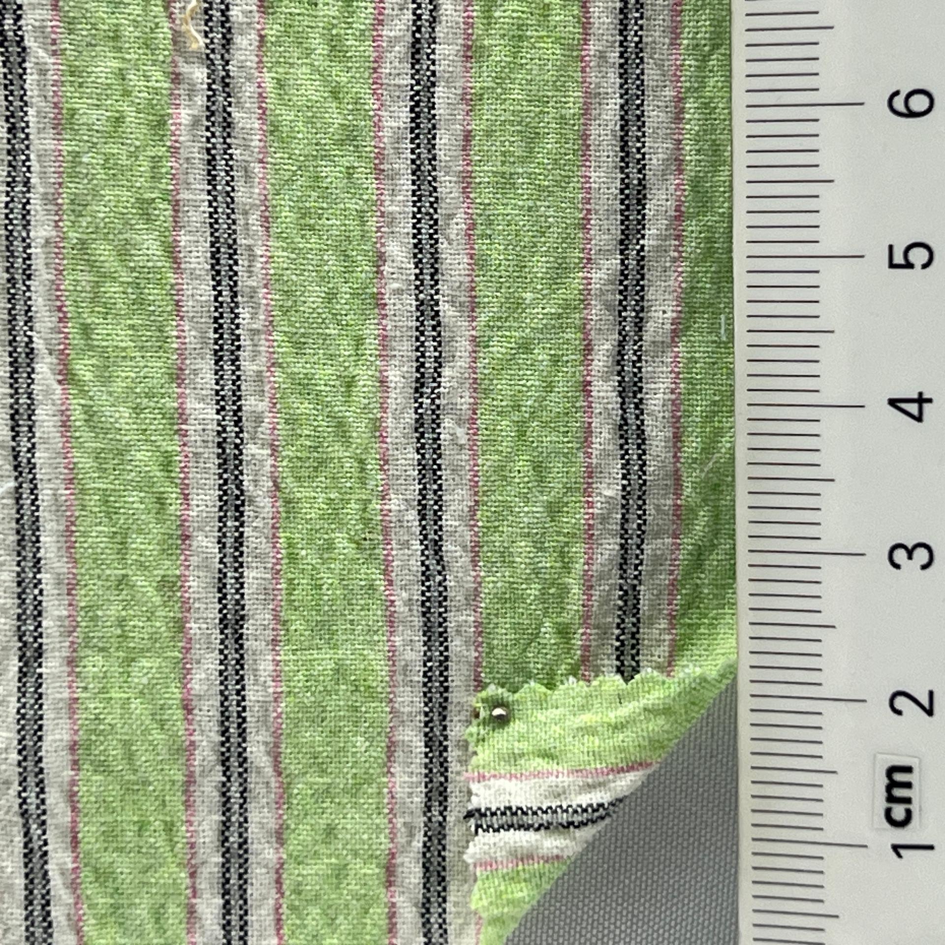 color image