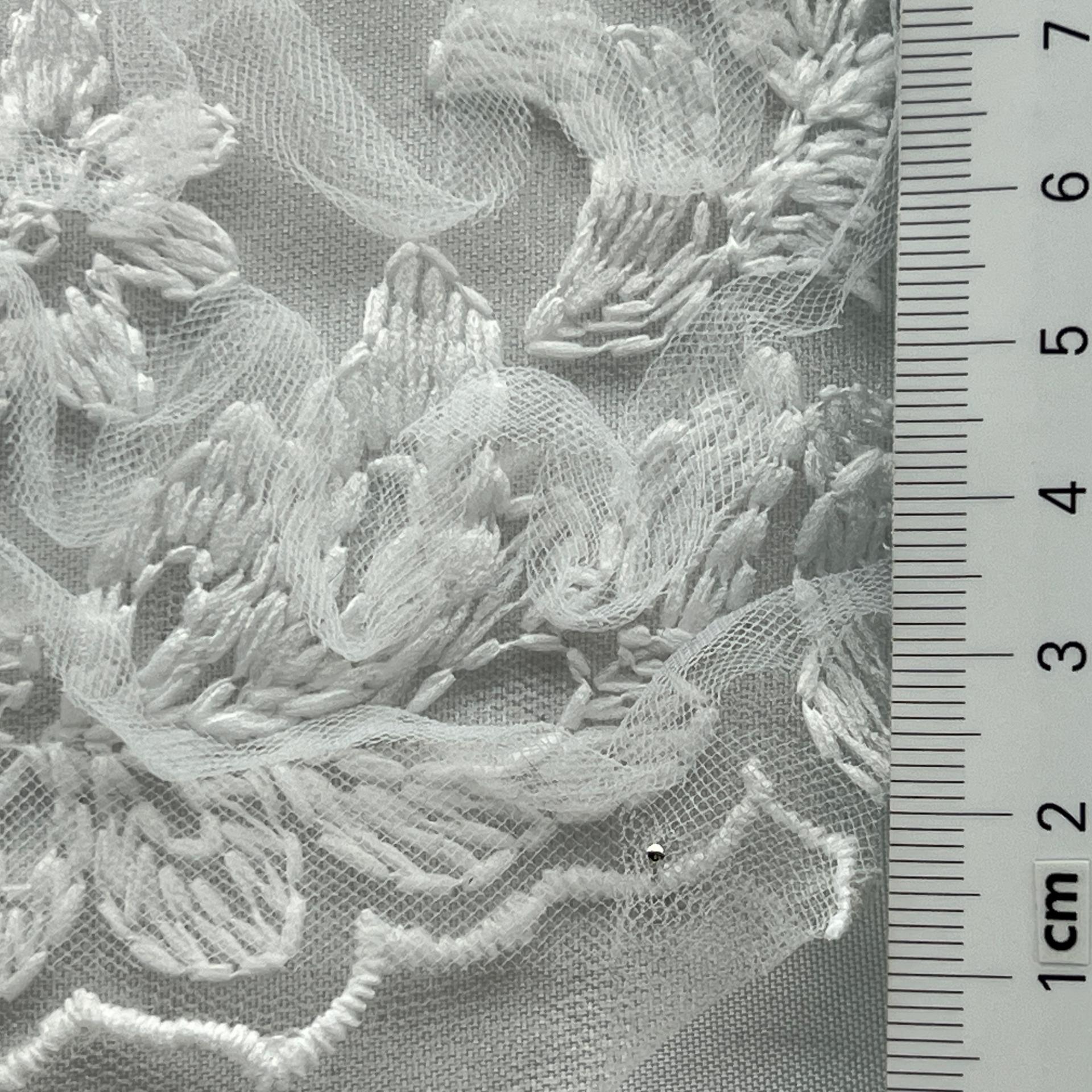 color image