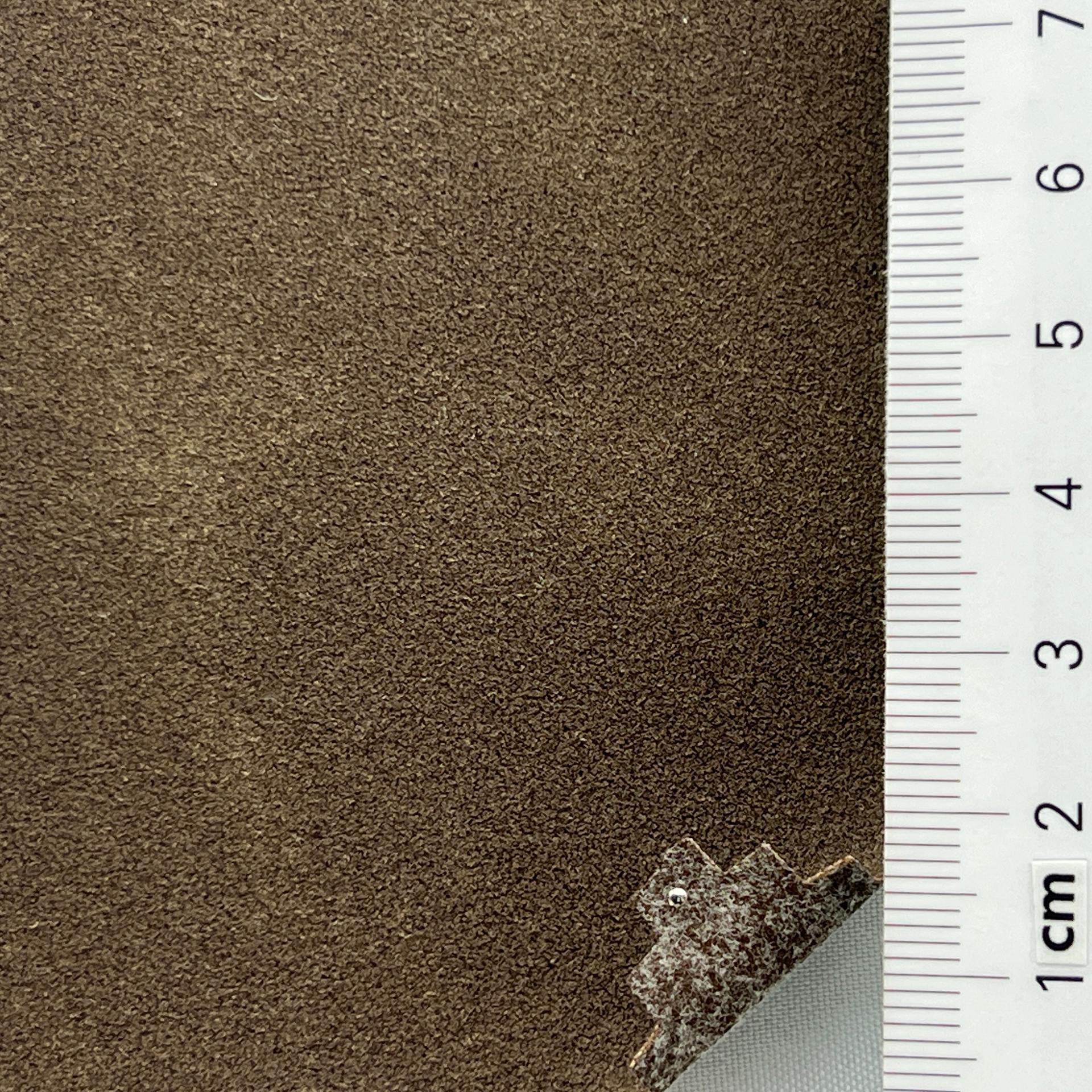 color image