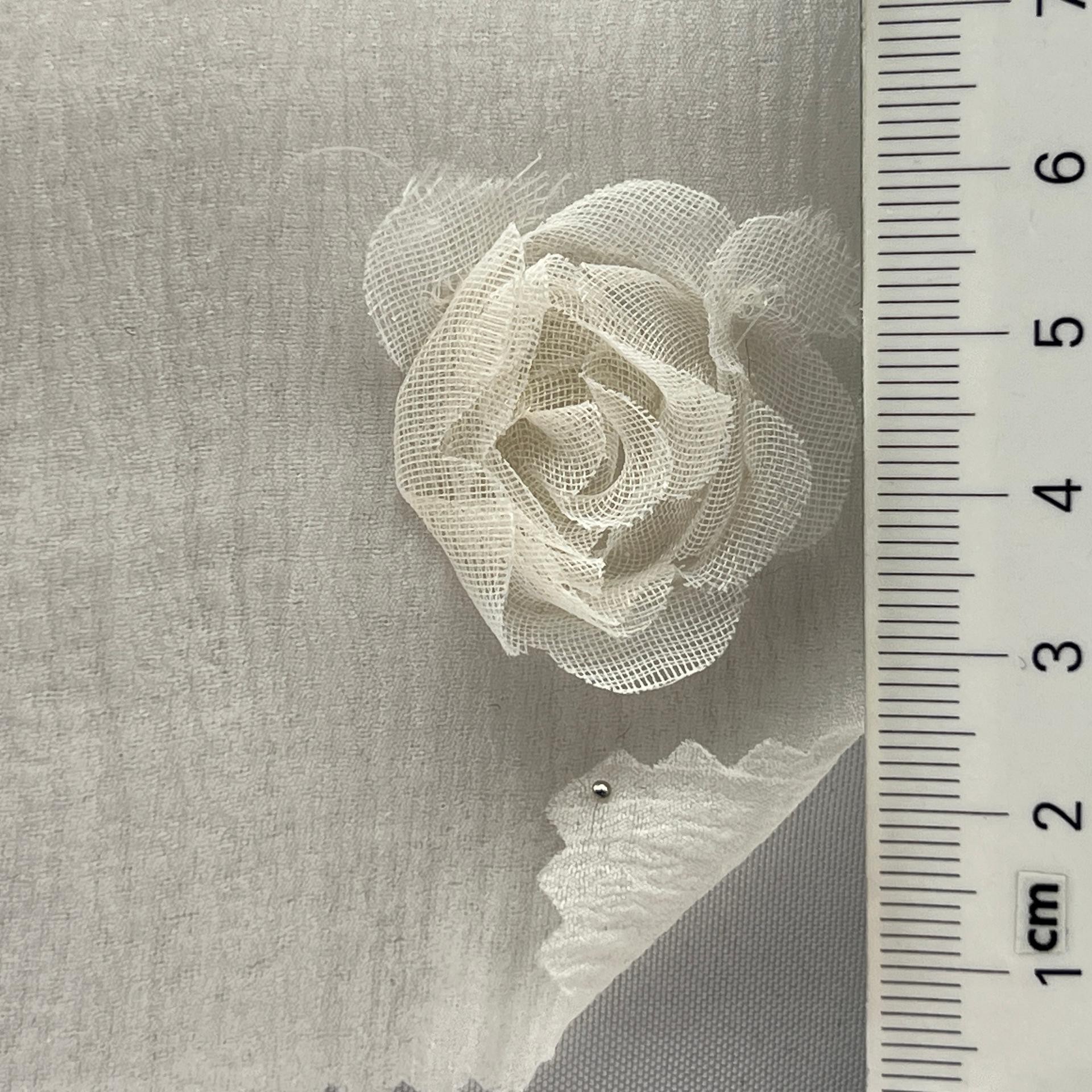color image