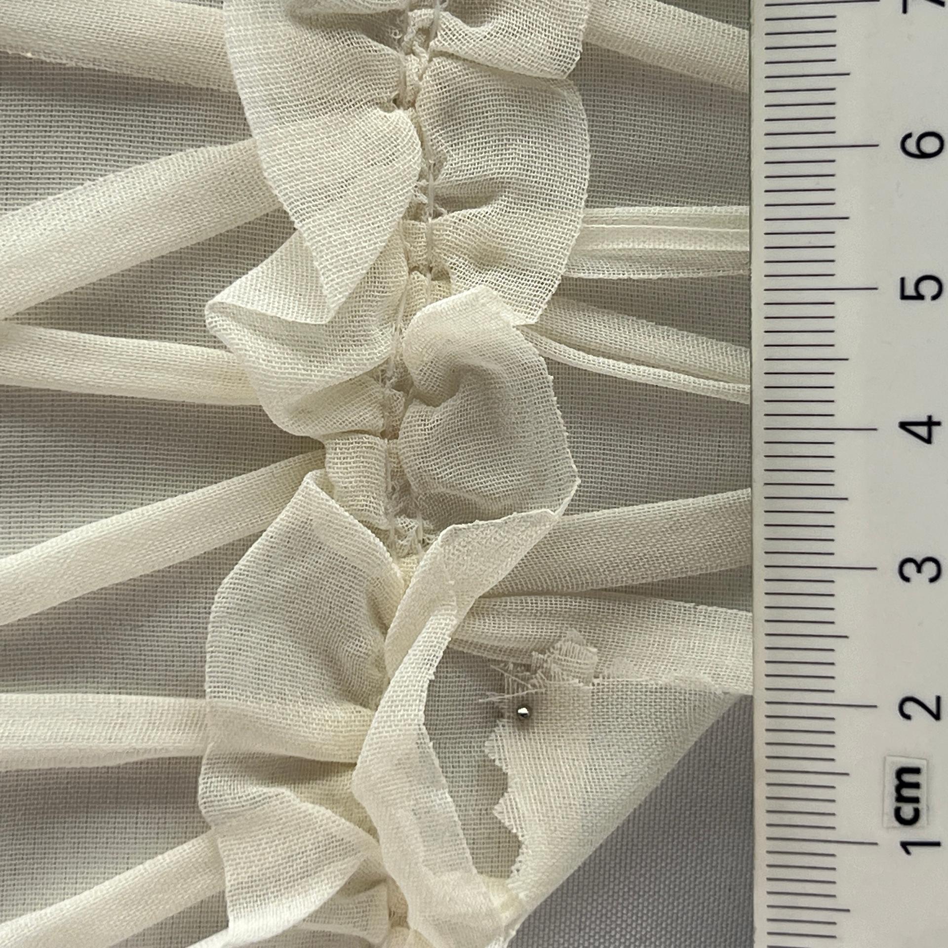 color image