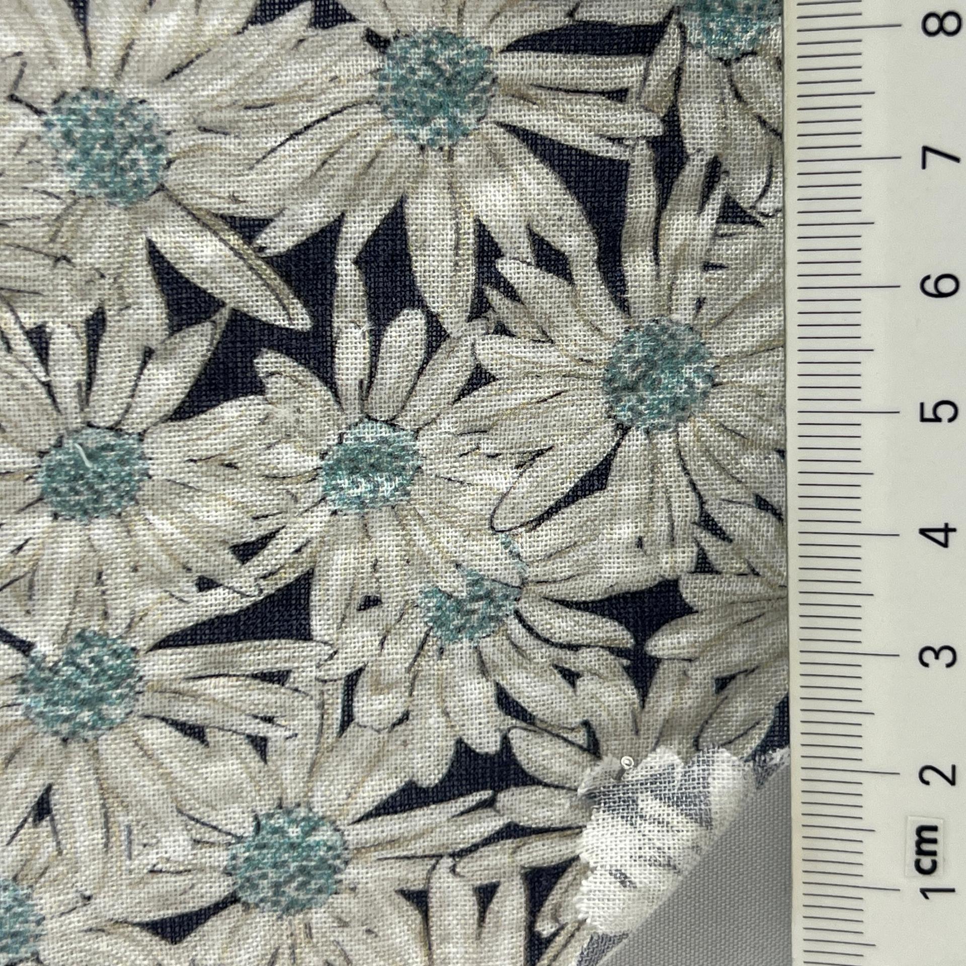 color image