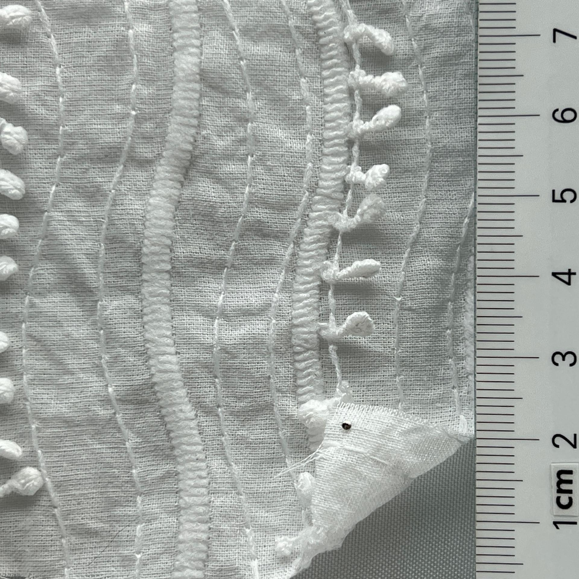 color image