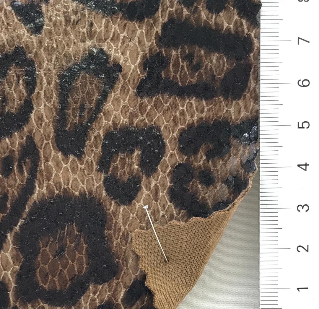 color image