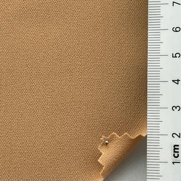 19 Camel