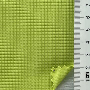 8 Pale Green