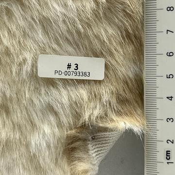 3 Beige