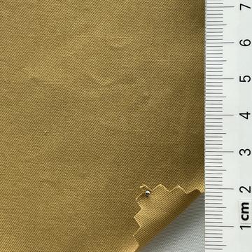 17 Camel