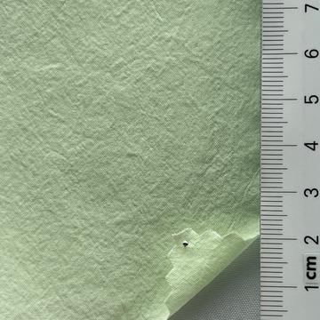 12 Pale Green
